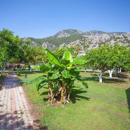 Baris Pension & Bungalows Çıralı Exteriör bild