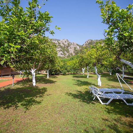 Baris Pension & Bungalows Çıralı Exteriör bild