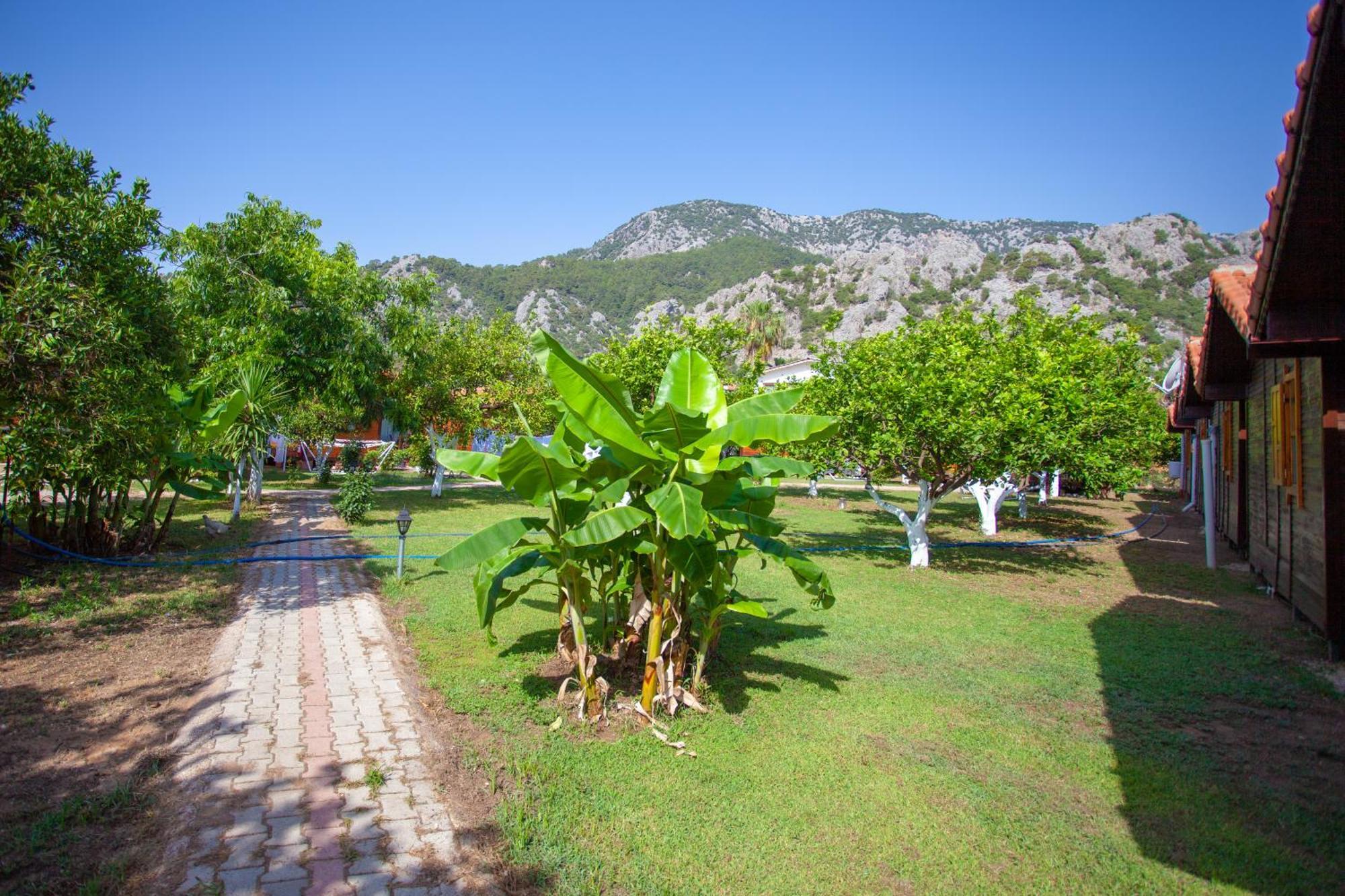 Baris Pension & Bungalows Çıralı Exteriör bild