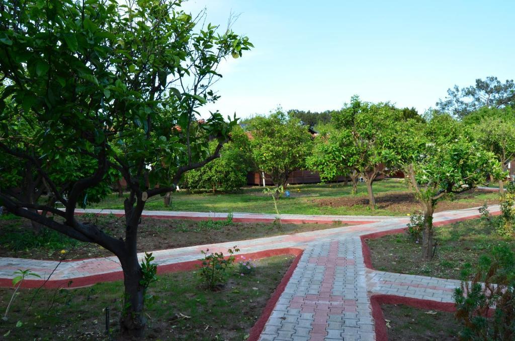 Baris Pension & Bungalows Çıralı Rum bild