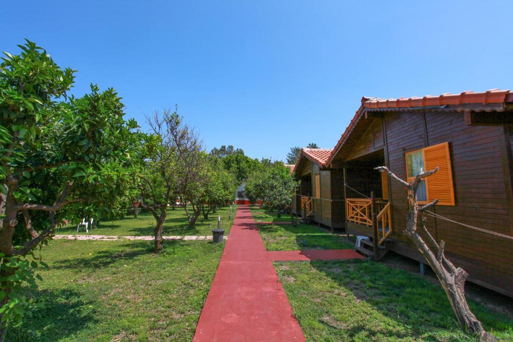 Baris Pension & Bungalows Çıralı Exteriör bild