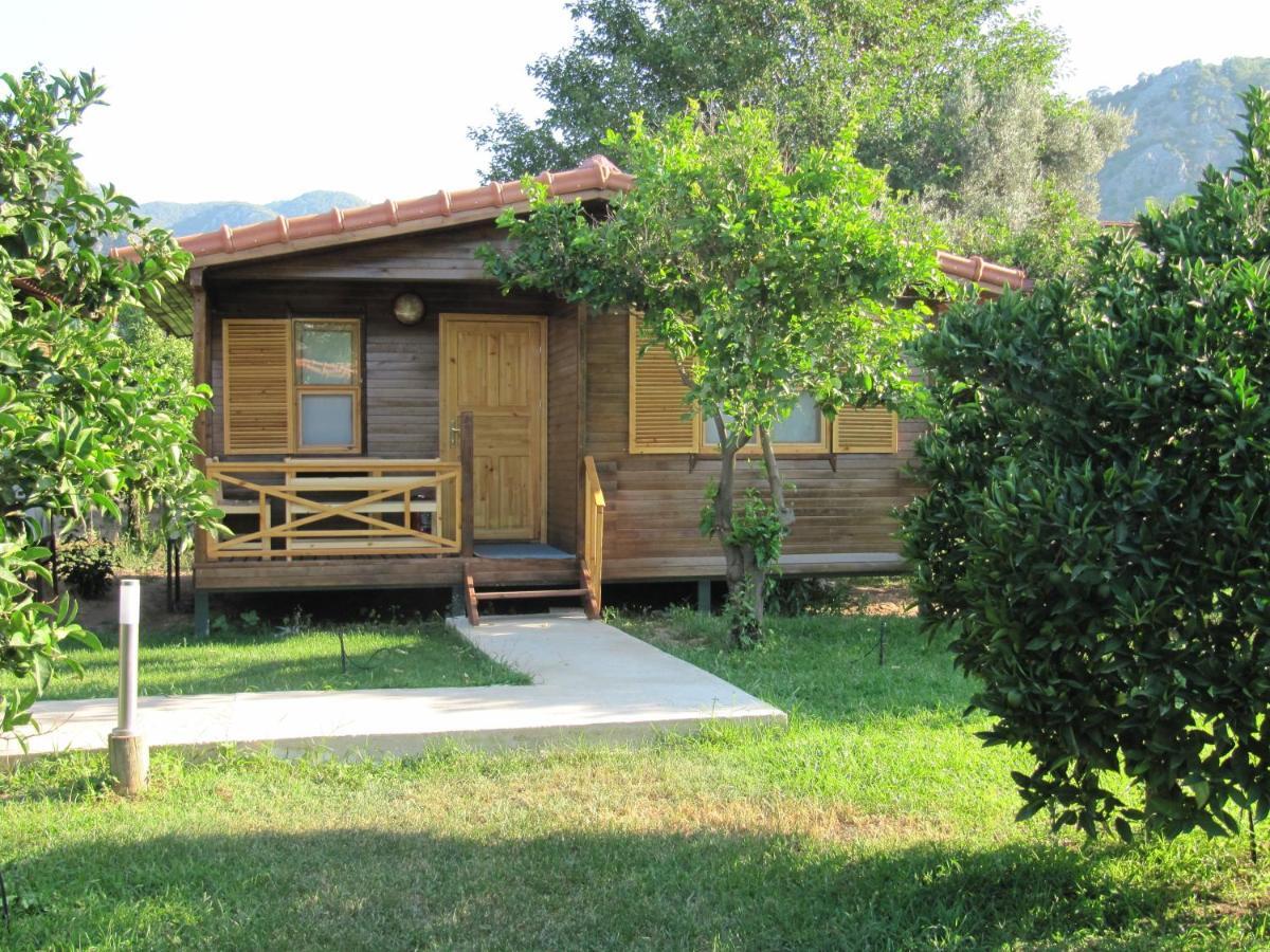 Baris Pension & Bungalows Çıralı Rum bild